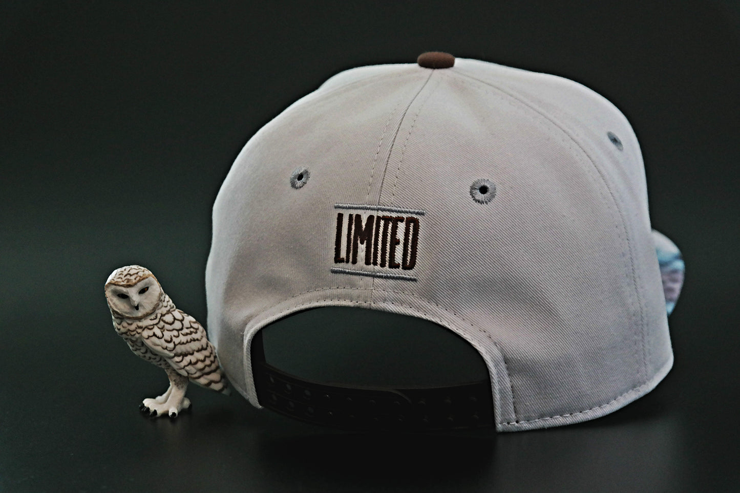 Limited_Limitierte_Snapbacks_Caps_Codger_04