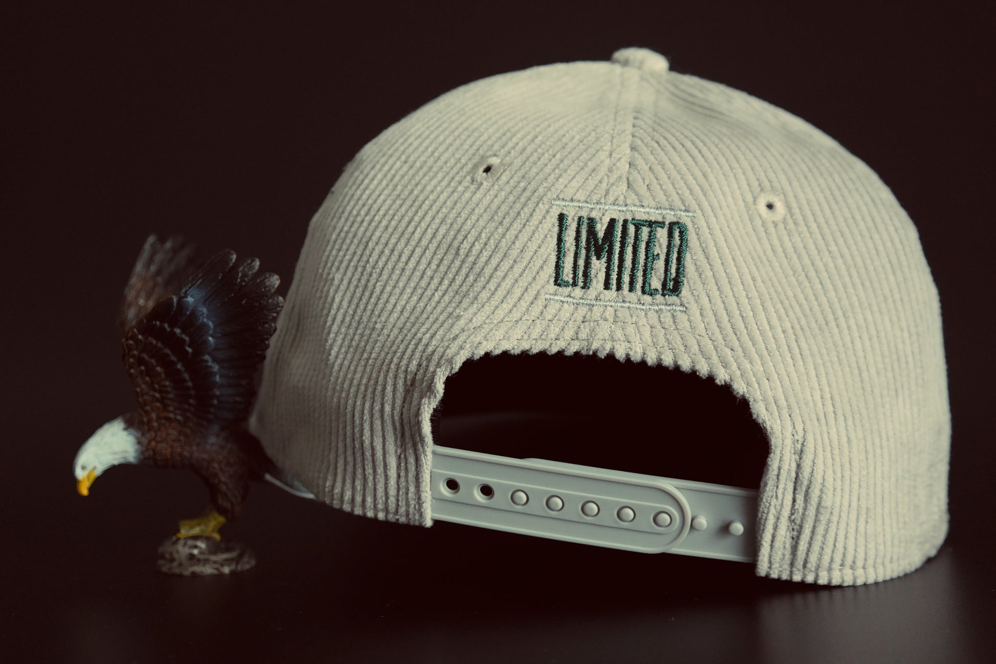 Limited_Limitierte_Snapback_Cap_Eagle_04