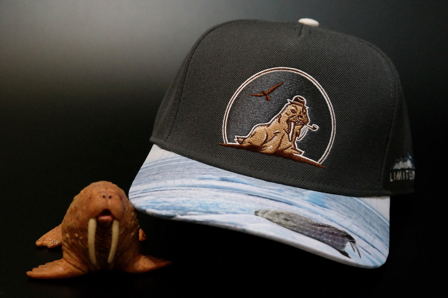 Limited_Limitierte_Snapbacks_Caps_Arctic_01