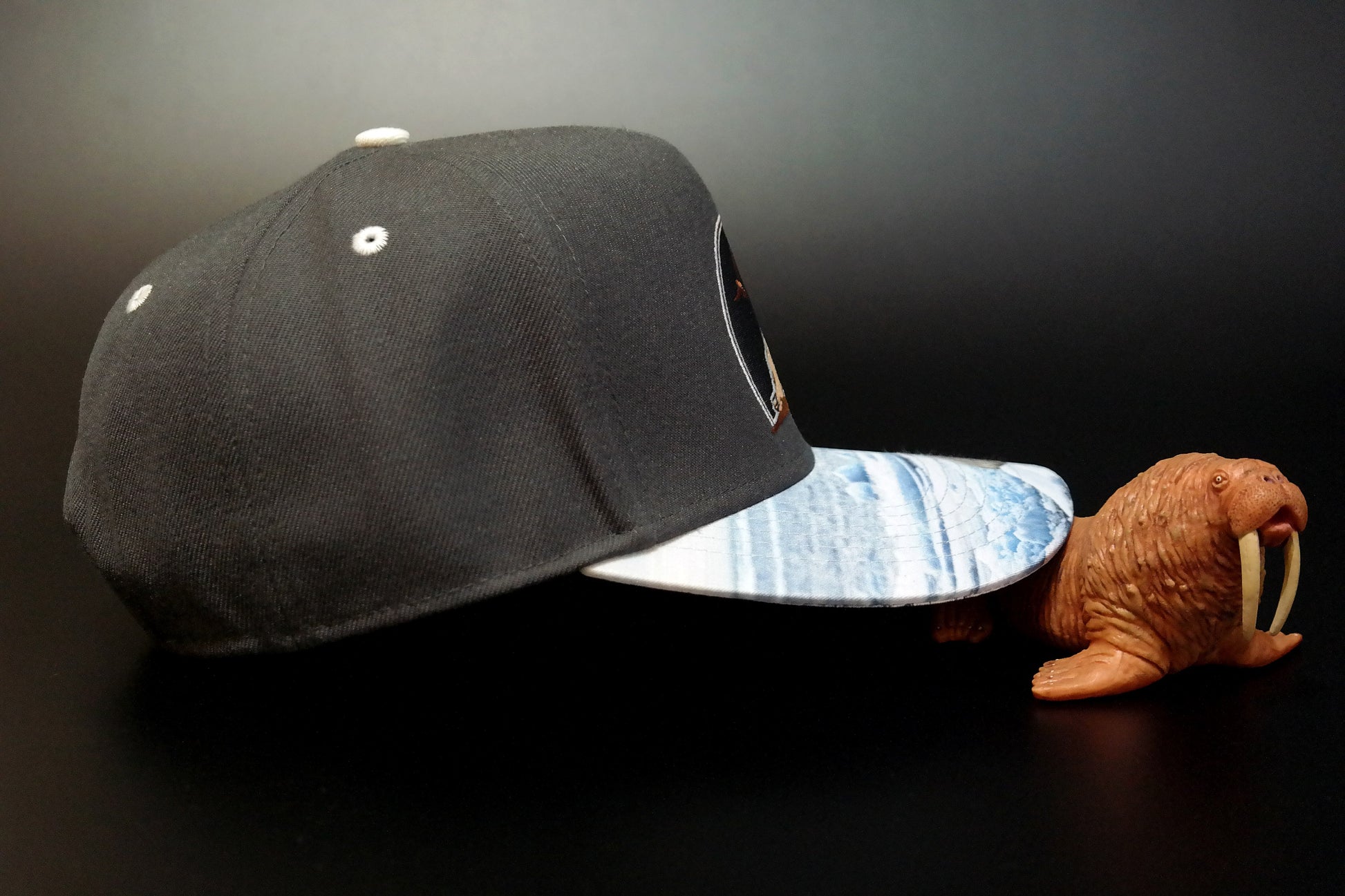 Limited_Limitierte_Snapbacks_Caps_Arctic_03