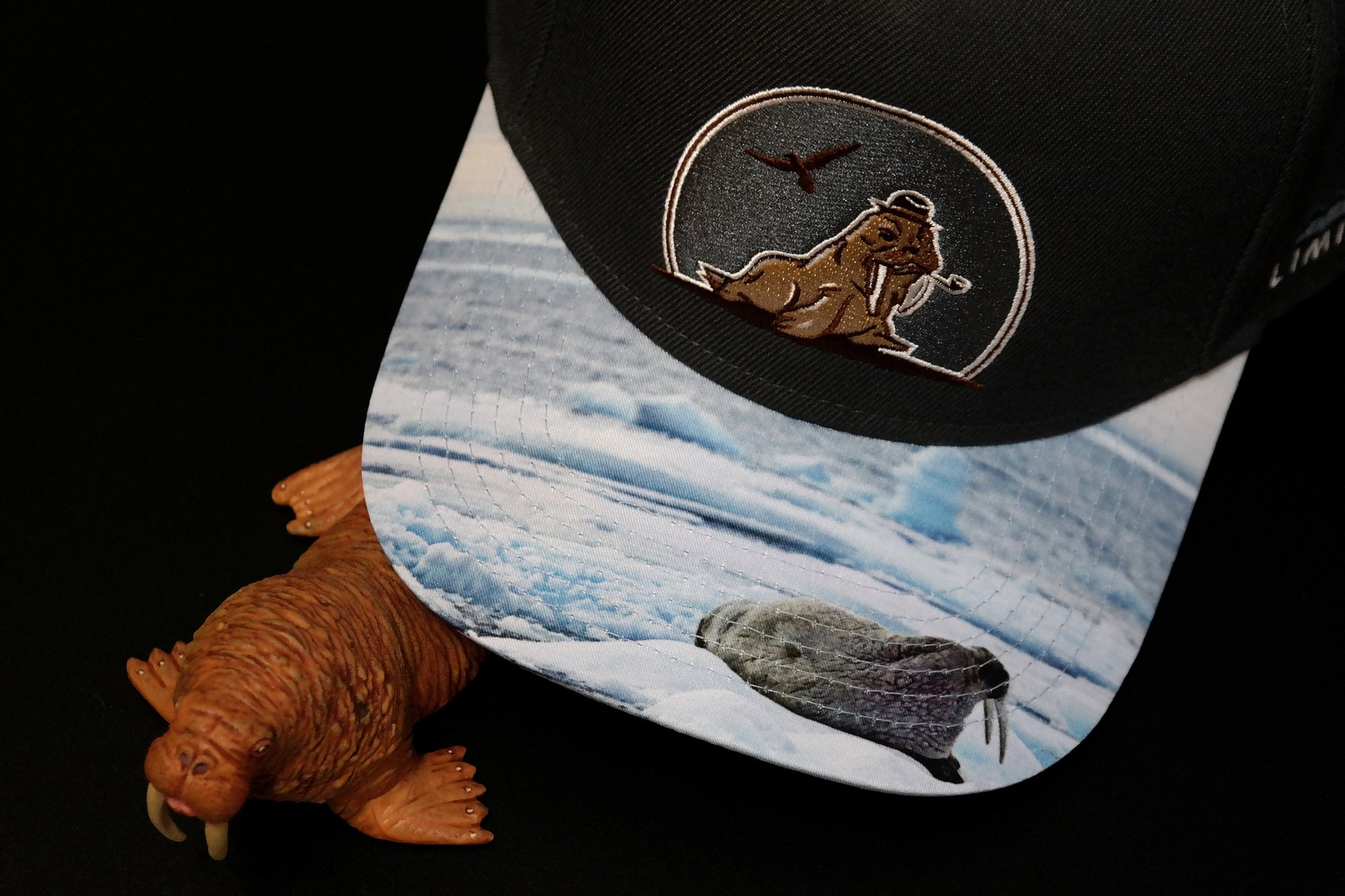 Limited_Limitierte_Snapbacks_Caps_Arctic_05