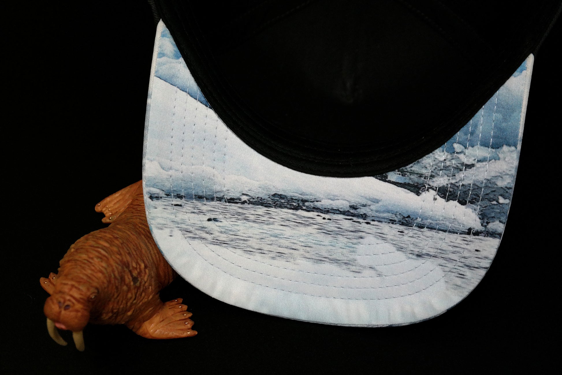 Limited_Limitierte_Snapbacks_Caps_Arctic_06