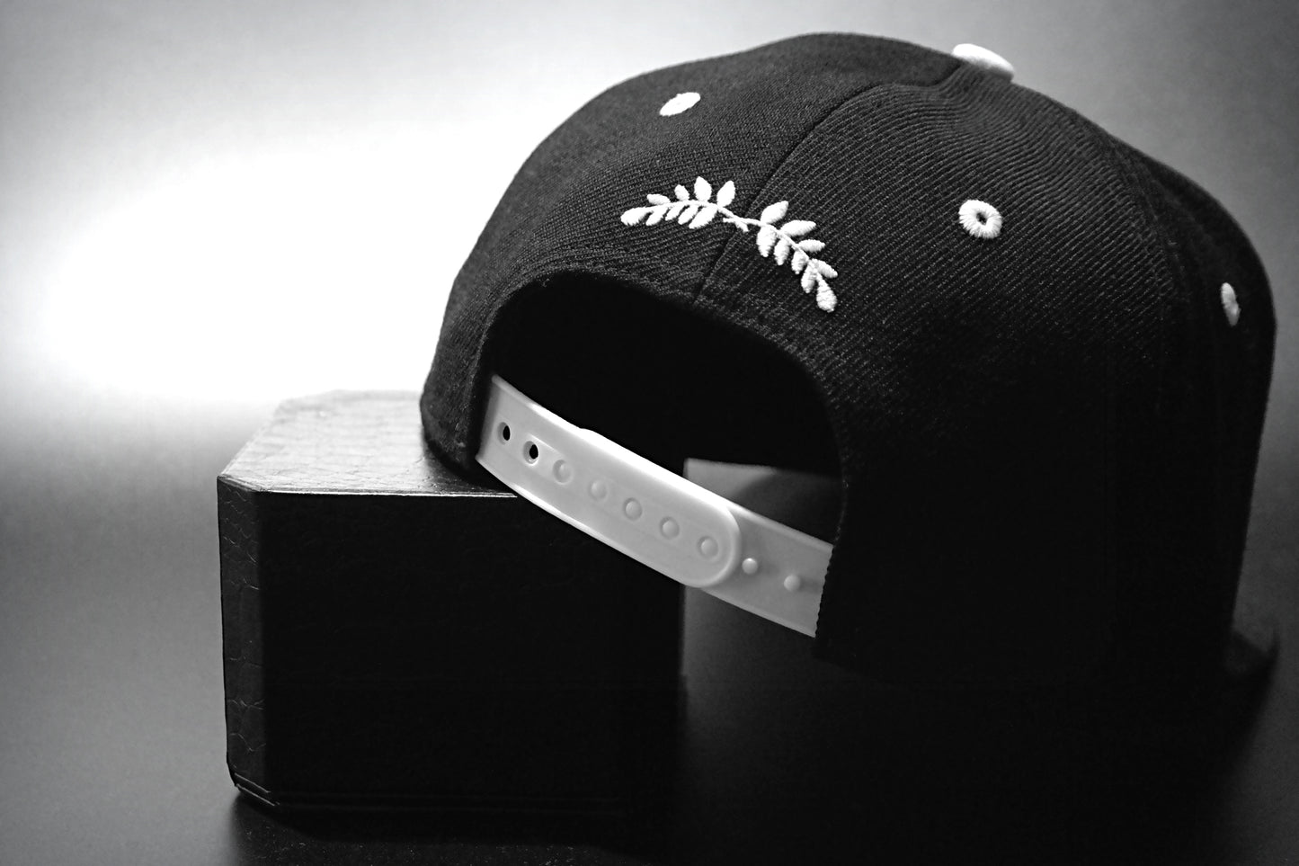 Limited_Limitierte_Snapbacks_Caps_Be_Original_04