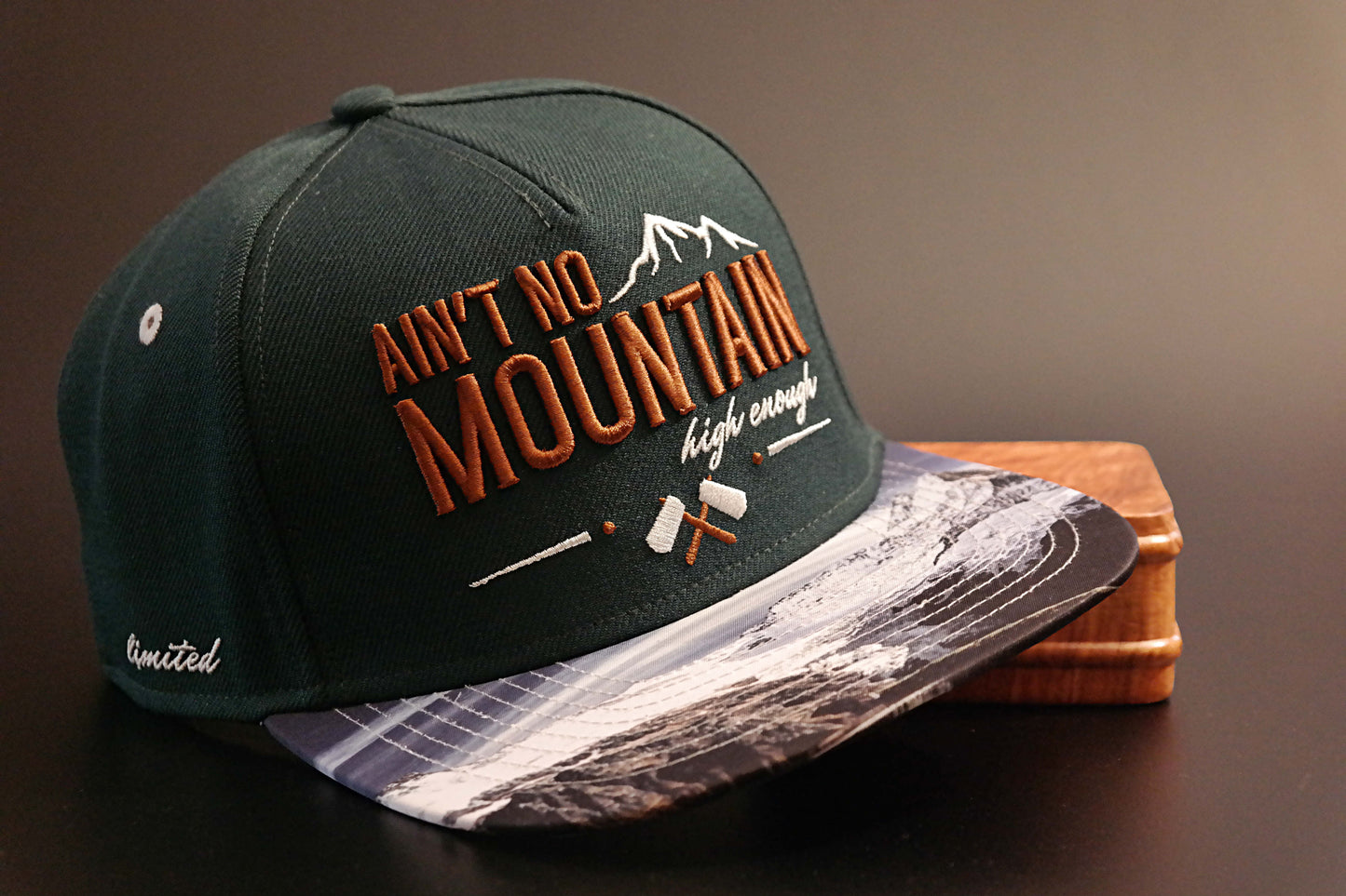 Limited_Limitierte_Snapbacks_Caps_Mountain_01