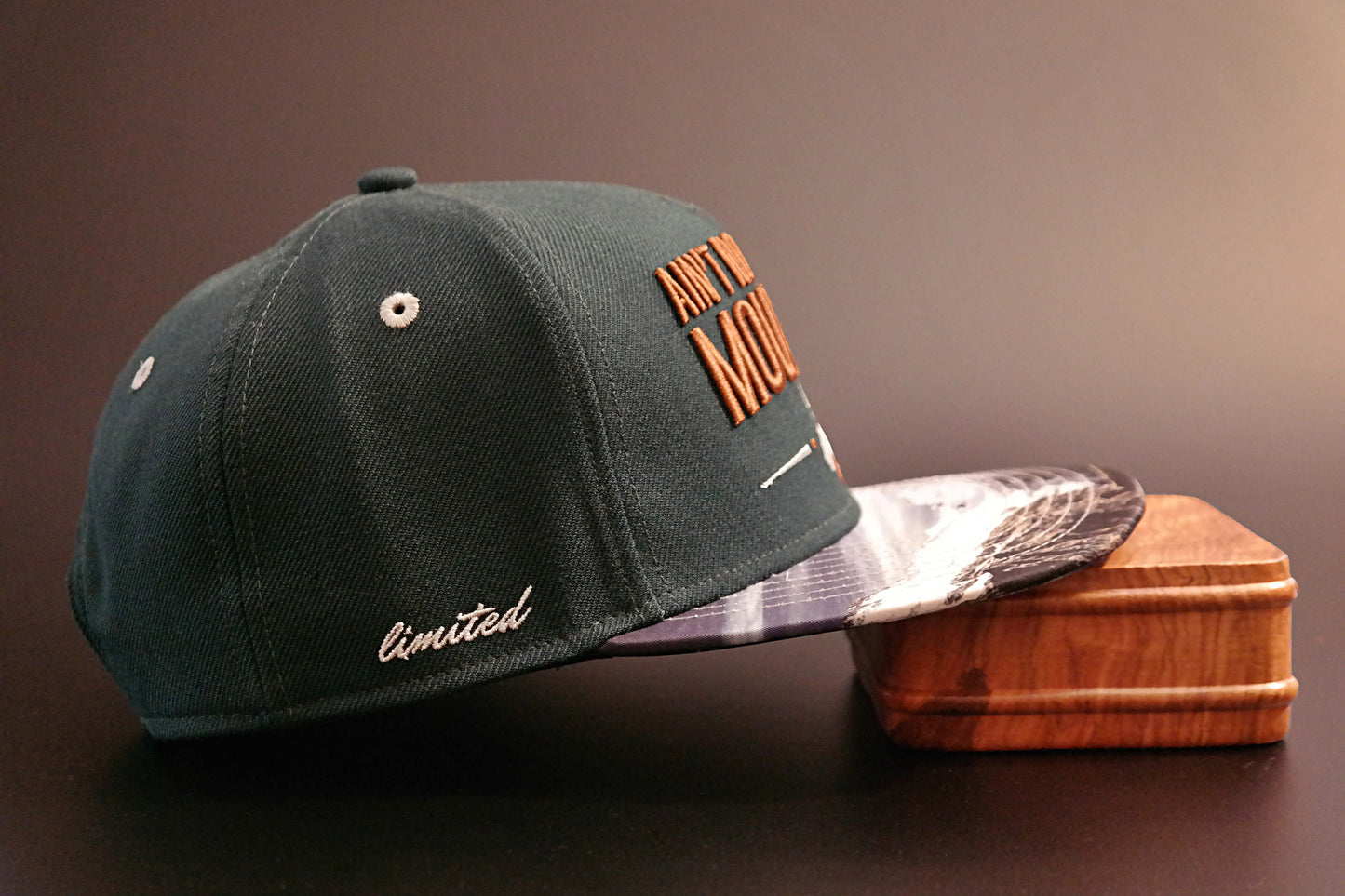 Limited_Limitierte_Snapbacks_Caps_Mountain_03