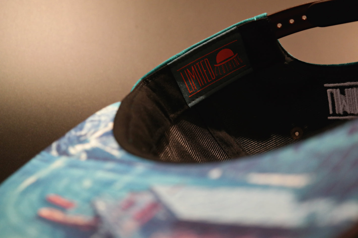 Limited_Limitierte_Snapbacks_Caps_Nordic_07