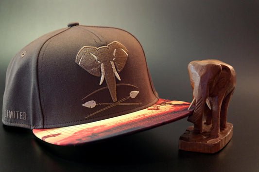 Limited_Limitierte_Snapbacks_Caps_Savannah_01