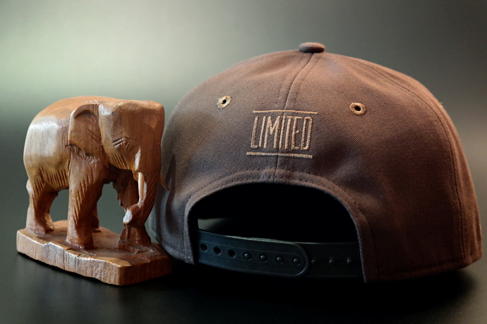 Limited_Limitierte_Snapbacks_Caps_Savannah_04