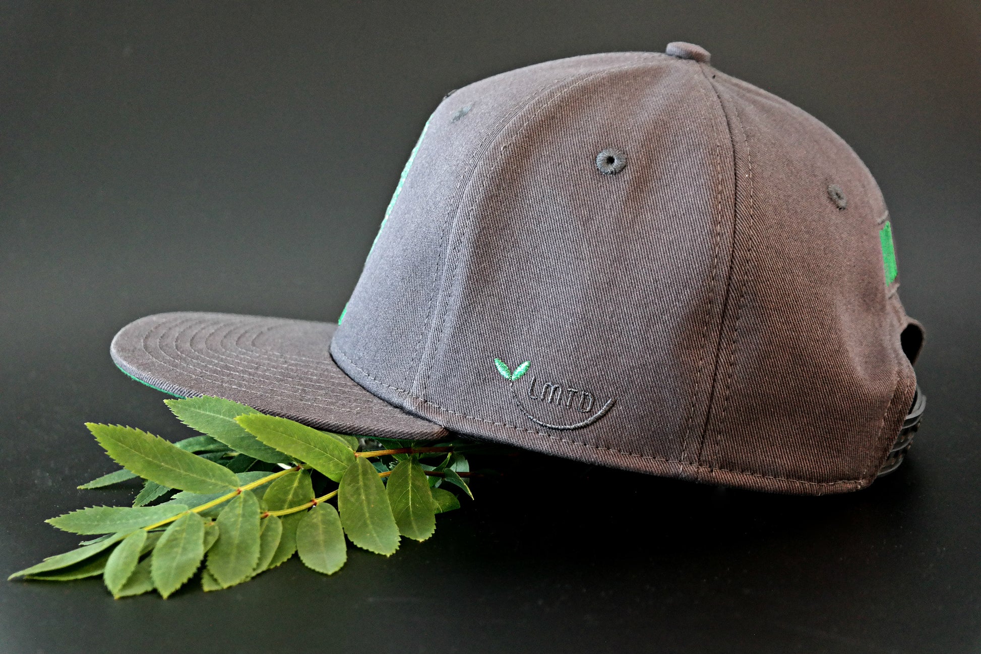 Limited_limitierte_Snapbacks_Caps_Leaf_02